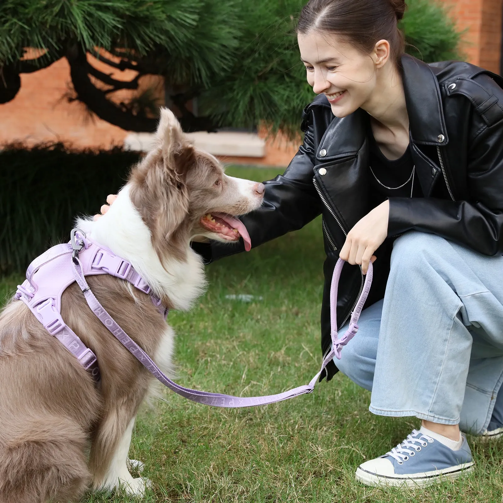 PADDED  ACTIVE  PET LEASH  - APRICOT