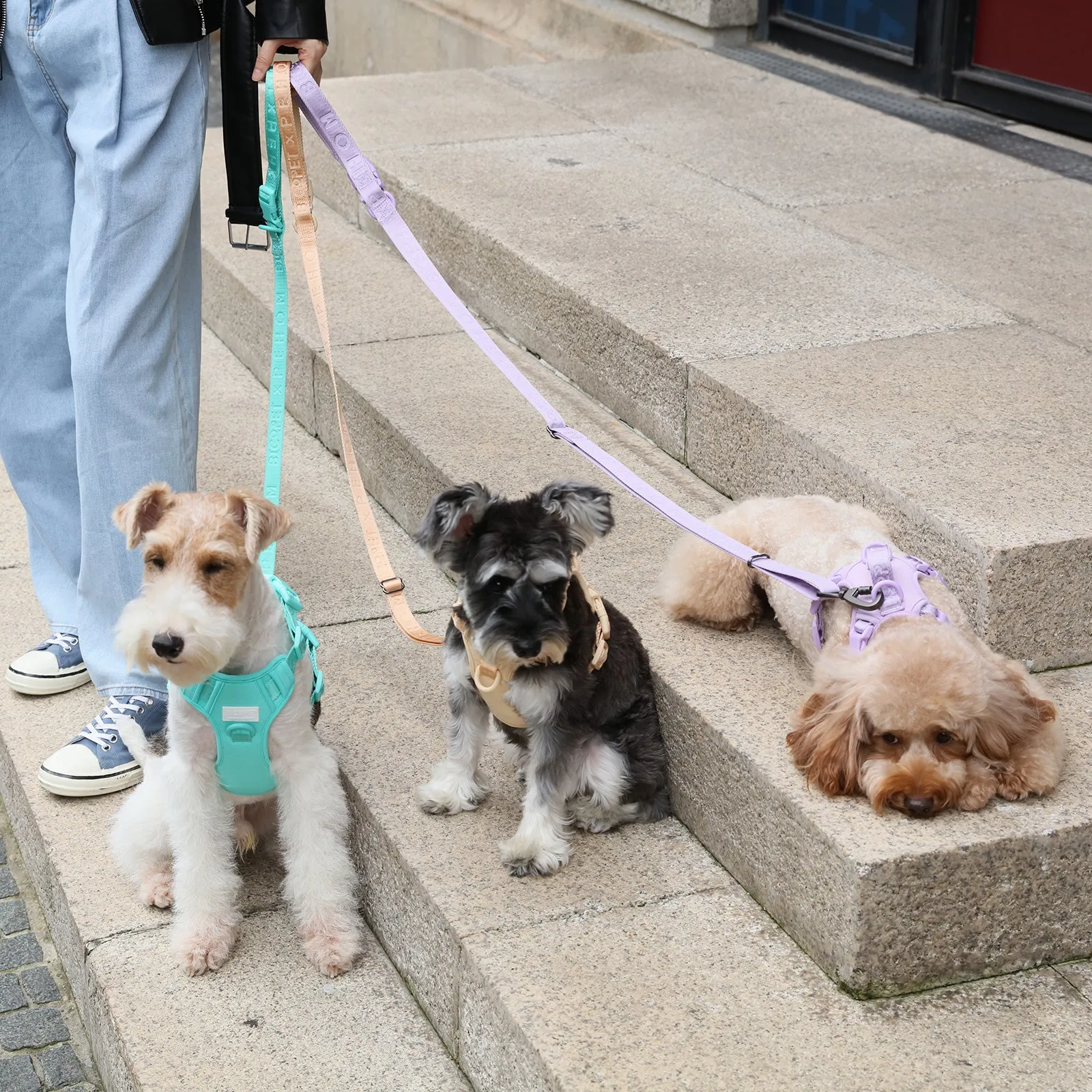 PADDED  ACTIVE  PET LEASH  - APRICOT